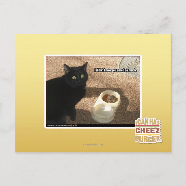 Carte Postale I don't know you cared (Devant)