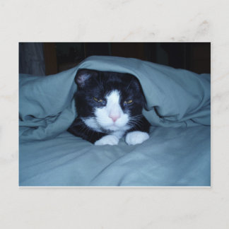 Carte Postale I Hate Mondays!