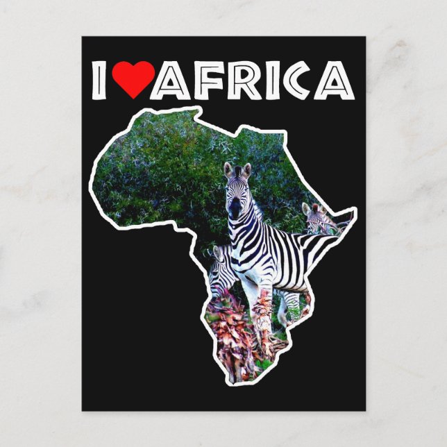 Carte Postale I Heart Africa Zebra Aloe (Devant)