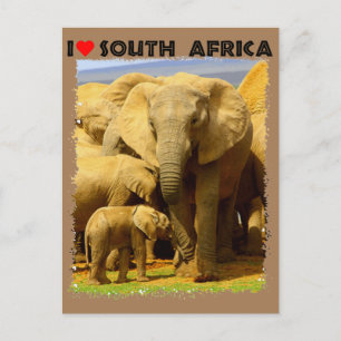 Carte Postale I Heart Afrique du Sud éléphant mère et veau