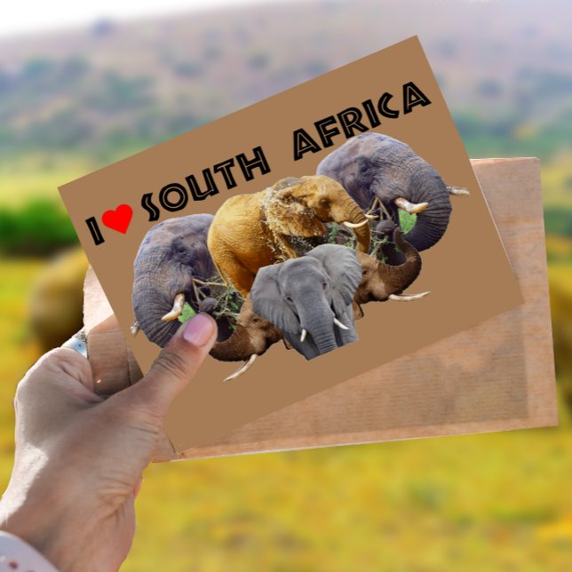 Carte Postale I Heart Afrique du Sud Emblème des éléphants (Créateur téléchargé)