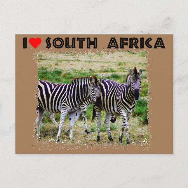 Carte Postale I Heart Afrique du Sud jeune couple zèbre (Devant)