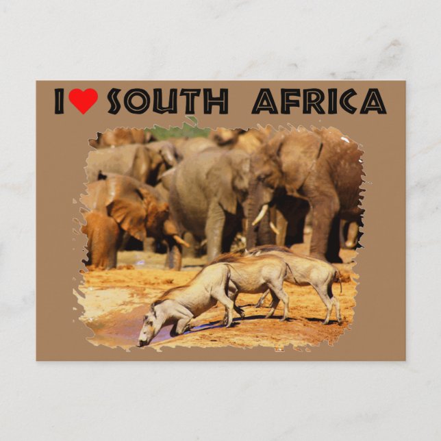 Carte Postale I Heart Afrique du Sud phacochères et éléphants (Devant)
