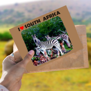 Carte Postale I Heart Afrique du Sud Zebra Aloe
