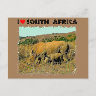 Carte Postale I Heart South Africa Rhino parmi les roseaux