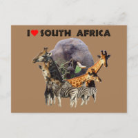 I Heart South Africa Wildlife Collage