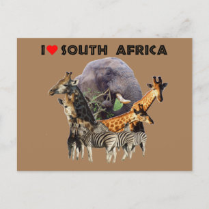 Carte Postale I Heart South Africa Wildlife Collage