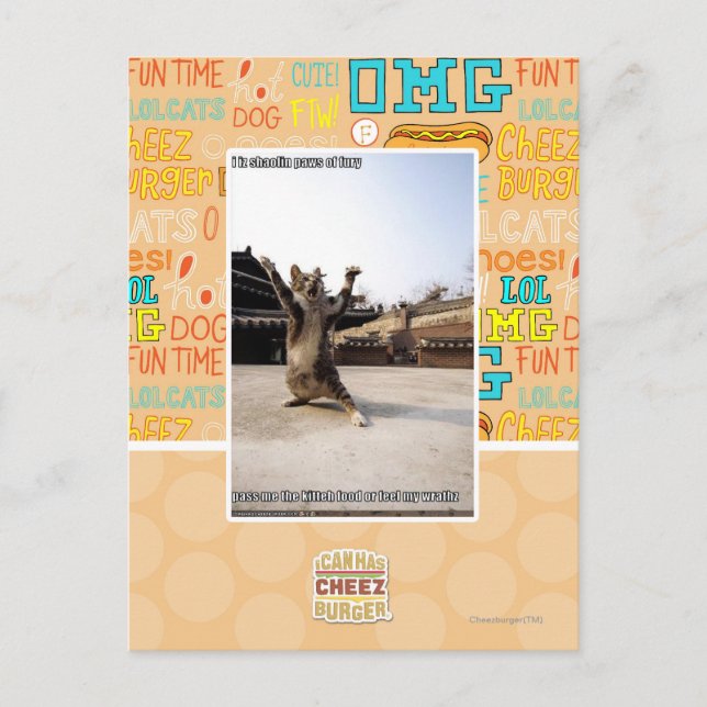 Carte Postale I iz shaolin paws of fury (Devant)