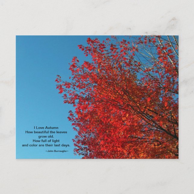 Carte postale I Love Autumn (Devant)