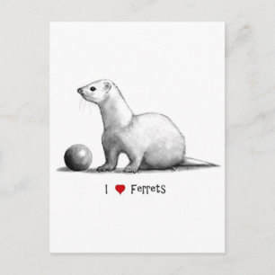 Carte Postale I Love (Coeur) Ferrets : Dessin au crayon