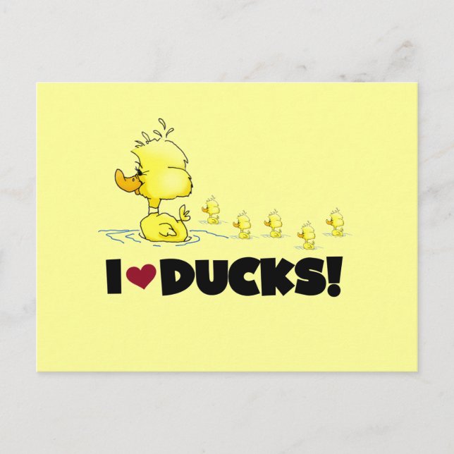 Carte Postale I Love Ducks Tshirts et cadeaux (Devant)