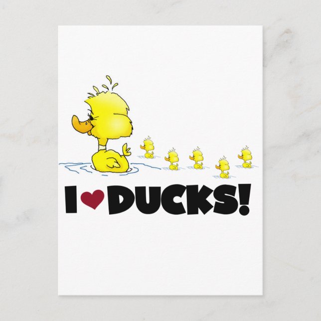 Carte Postale I Love Ducks Tshirts et cadeaux (Devant)