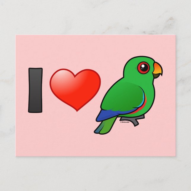 Carte Postale I Love Eclectus Parrots (mâle) (Devant)