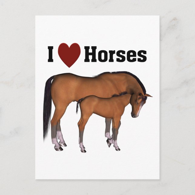 Carte postale I Love Horses (Devant)