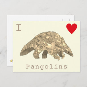 Carte Postale I Love Pangolins rare faune slogan