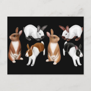 Carte postale I Love Rabbits