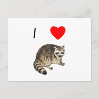 Carte Postale I Love Raccoons