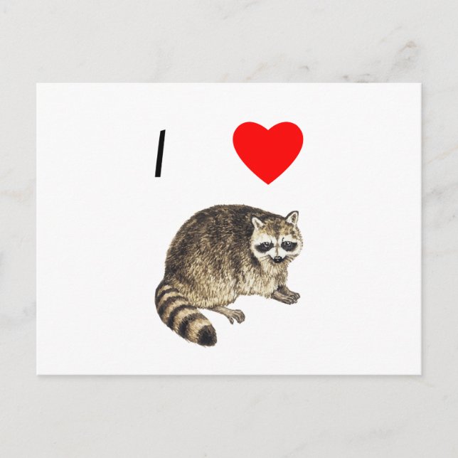 Carte Postale I Love Raccoons (Devant)