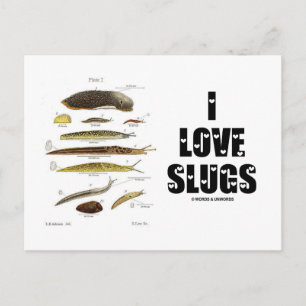 Carte Postale I Love Slugs (Naturaliste / Nature)