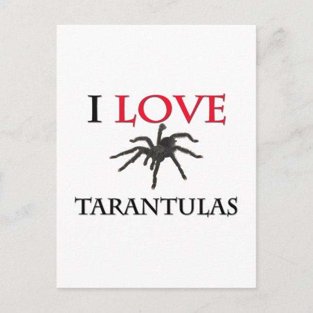 Carte Postale I Love Tarantulas (Devant)