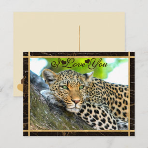 Carte Postale I Love You Leopard Photo