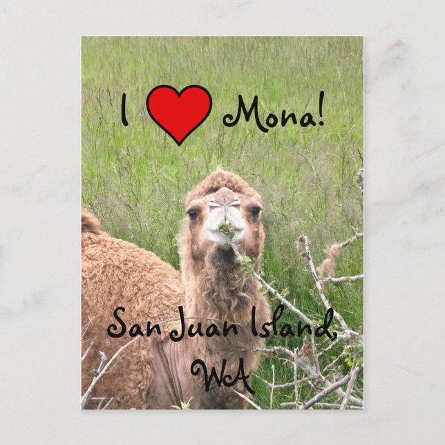 Carte Postale I ♥ Mona ! (Devant)