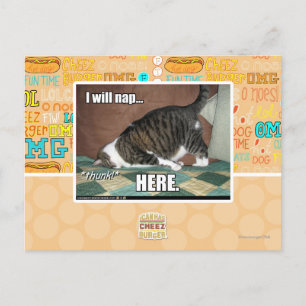 Carte Postale I will nap here