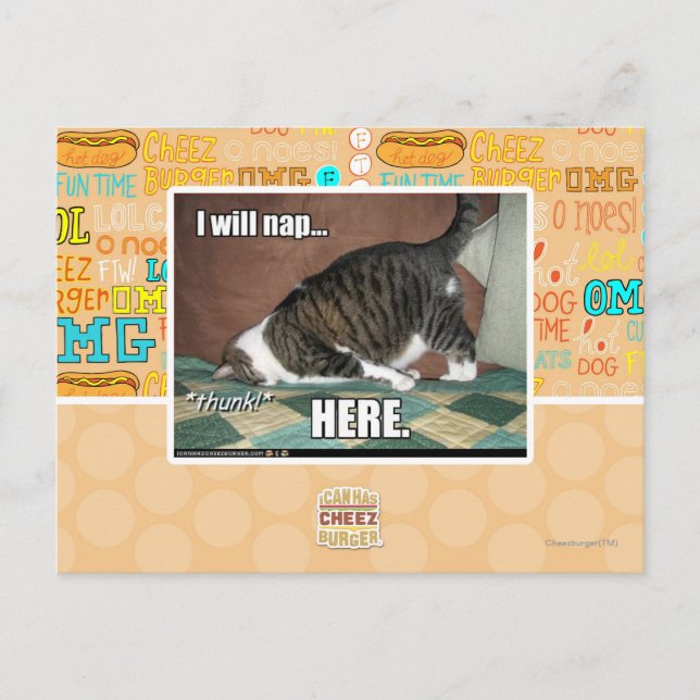 Carte Postale I will nap here (Devant)