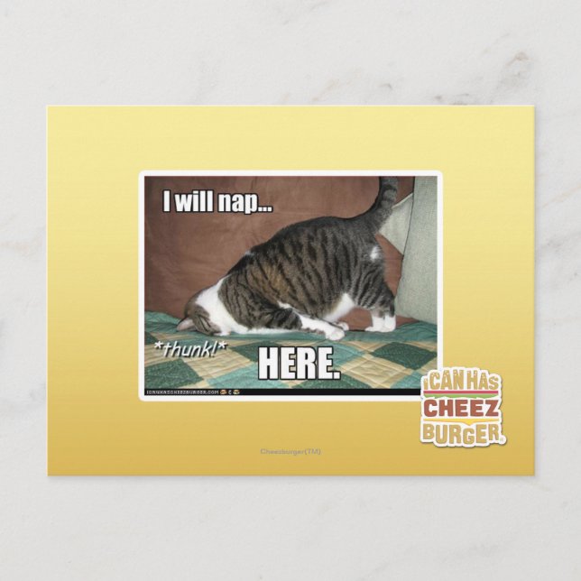 Carte Postale I will nap here (Devant)