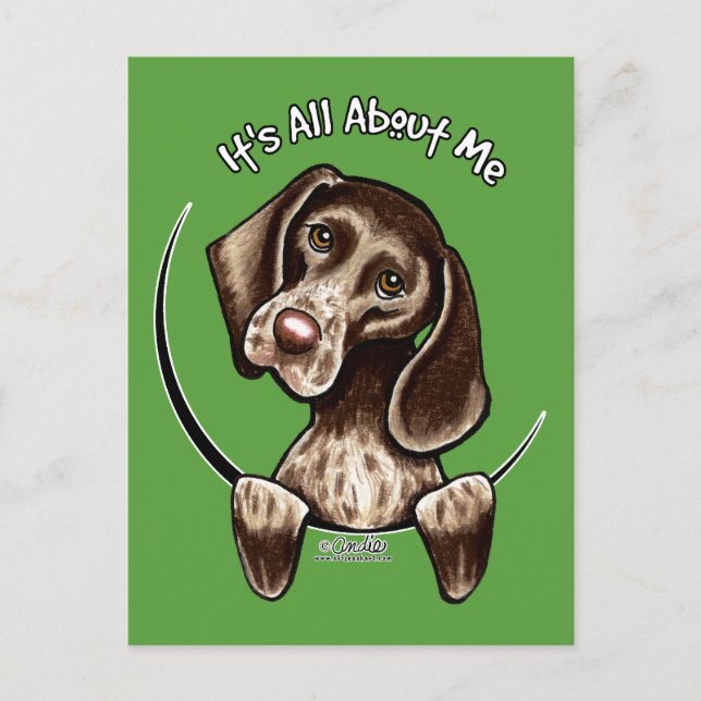 CARTE POSTALE IAAM (Devant)