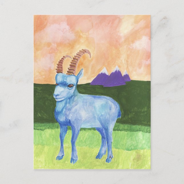 Carte Postale ibex (Devant)