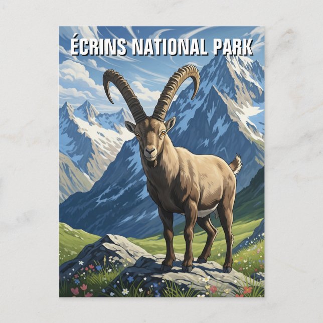 Carte Postale Ibex dans le Parc National des Écrins France Voyag (Devant)