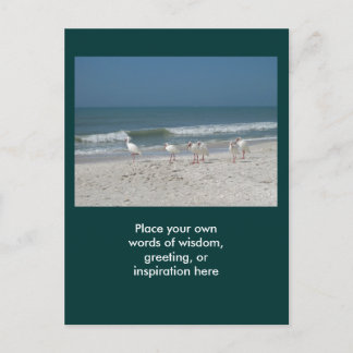 Carte Postale Ibis Beach