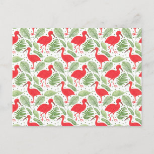 Carte Postale Ibis écarlate