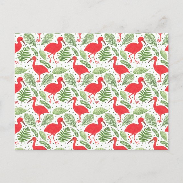 Carte Postale Ibis écarlate (Devant)