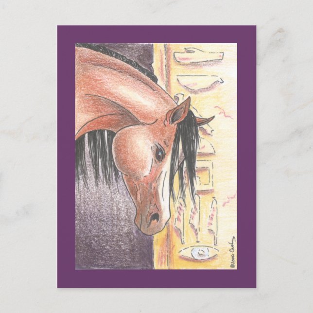 Carte postale "Ibn Denah" (Devant)