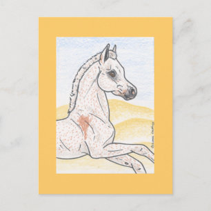 Carte Postale Ibn Shai Hulud