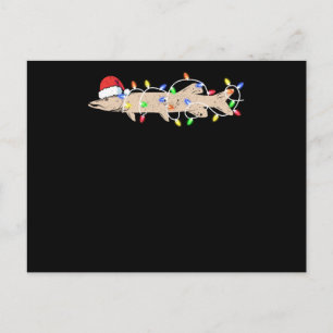 Carte Postale Ice fishing Muscy Musy Funny Santa