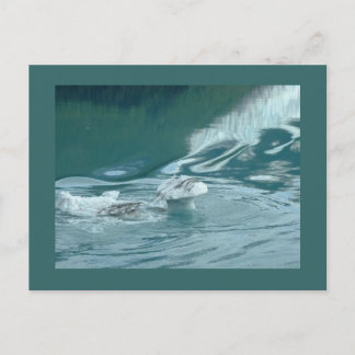 Carte Postale "Iceberg Mushroom Delight"