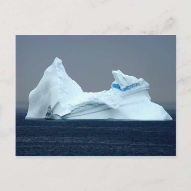 Carte Postale Icebergs à Terre-Neuve (Devant)