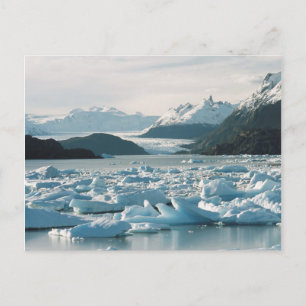 Carte Postale Icebergs glaciaires
