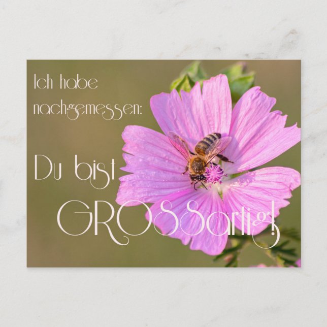 Carte Postale Ich habe nachgemessen : Du bist großartig! (Devant)