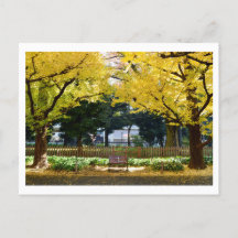 Icho Namiki (Ginkgo Avenue) : Tokyo, Japon