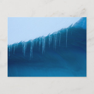 Carte Postale Icicules