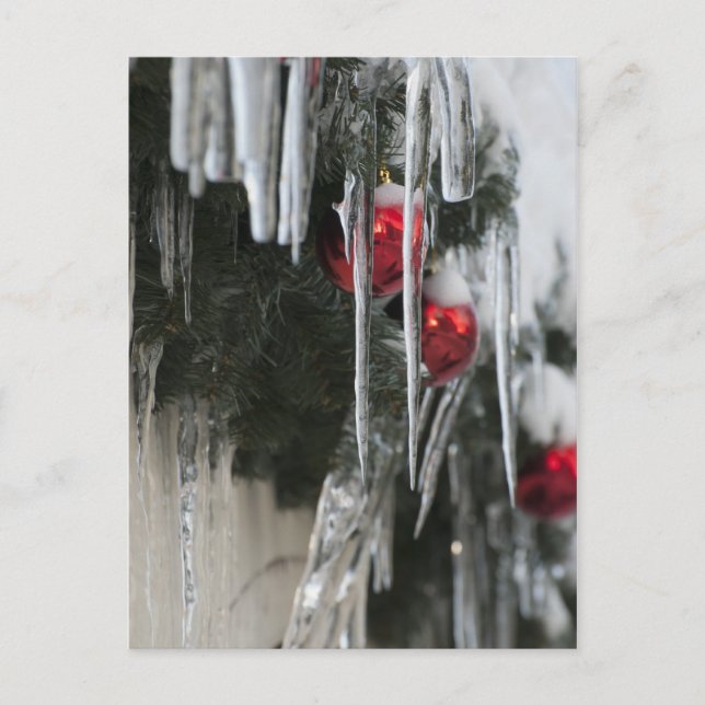 Carte Postale Icicules (Devant)