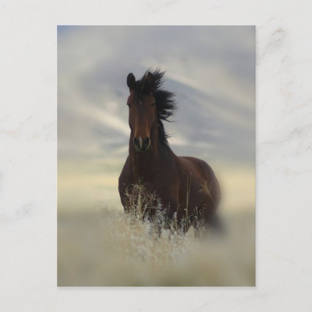 Carte postale Icone (Devant)