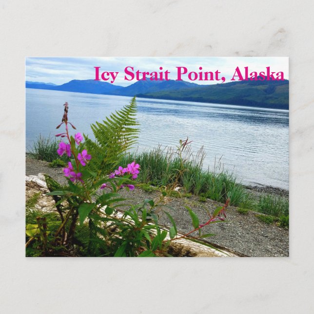Carte postale Icy Strait Point, Alaska (Devant)