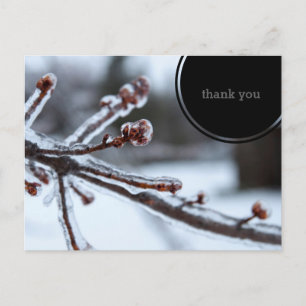 Carte Postale Icy Tree Branch Thank You