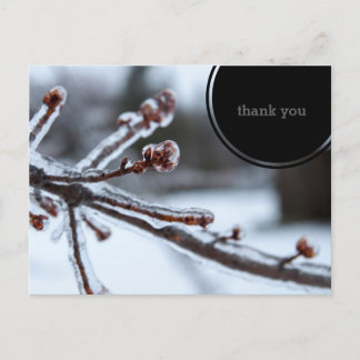 Carte Postale Icy Tree Branch Thank You