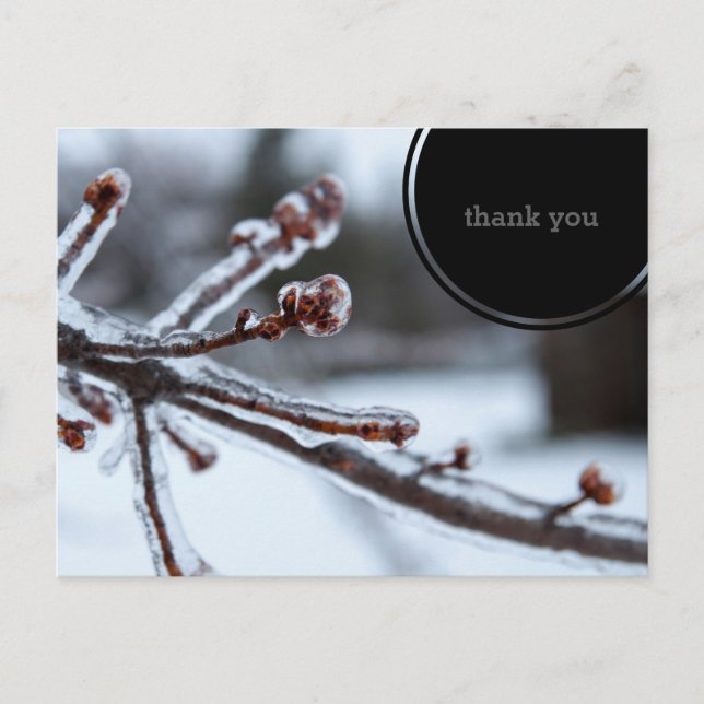 Carte Postale Icy Tree Branch Thank You (Devant)